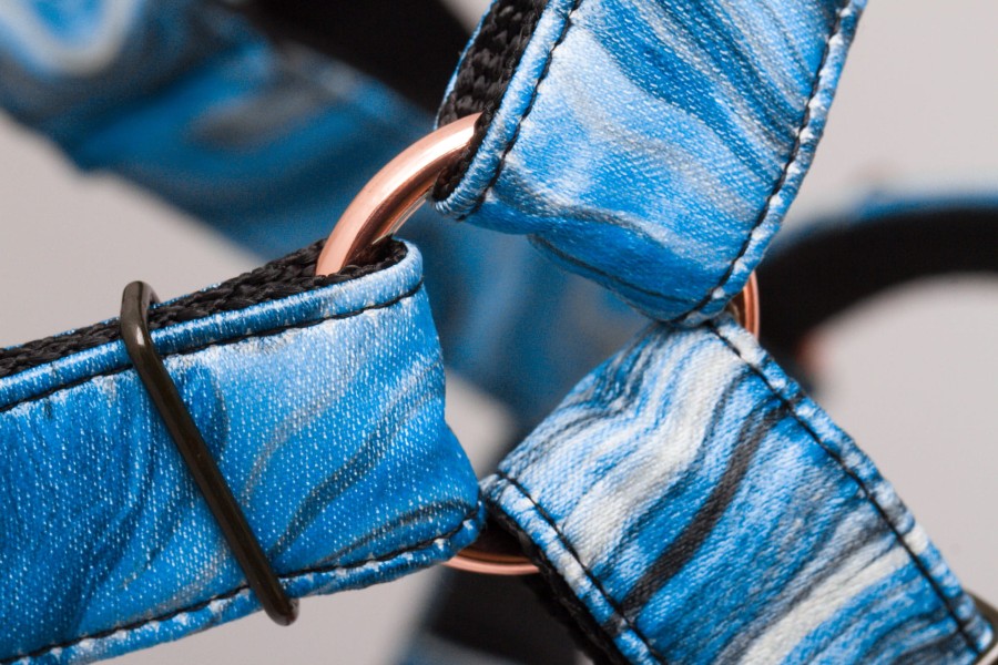 Szelki dla psa GUARD - TATAR DOG - NIEBIESKIE (4).jpg