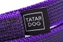 _MG_5483-Edit.jpg