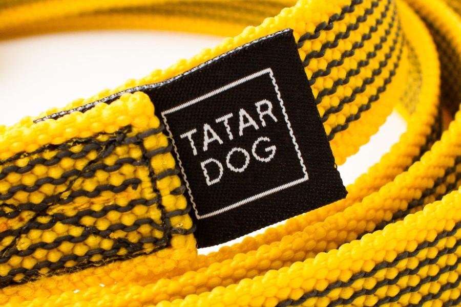 TATAR-DOG---ZOLTA-3.jpg