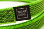 TATAR-DOG---ZIELONA-3.jpg