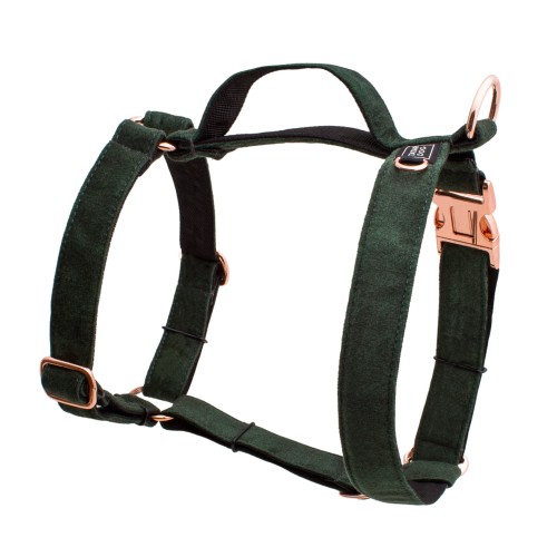 SZELKI DLA PSA GUARD ELEGANT ZIELONE - TATAR DOG  (1).jpg
