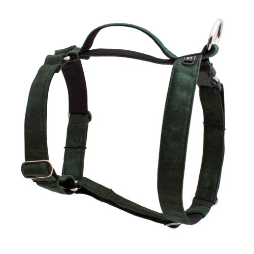 SZELKI DLA DUŻEGO PSA GUARD ELEGANT BUTELKOWA ZIELEŃ - TATAR DOG  (1).jpg