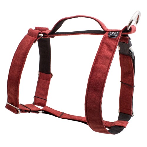 SZELKI DLA DUŻEGO PSA PRO GUARD ELEGANT CEGLASTE - TATAR DOG  (1).jpg