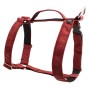 SZELKI DLA DUŻEGO PSA PRO GUARD ELEGANT CEGLASTE - TATAR DOG  (1).jpg