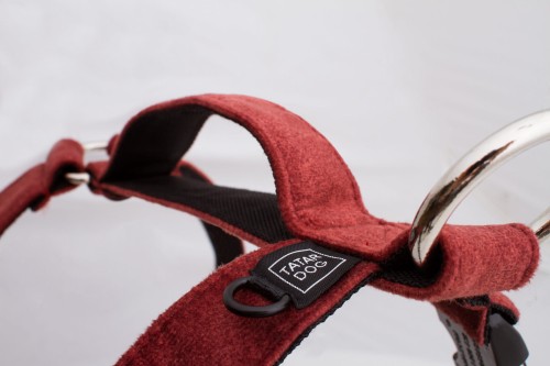 SZELKI DLA DUŻEGO PSA PRO GUARD ELEGANT CEGLASTE - TATAR DOG  (2).jpg