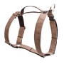 SZELKI DLA DUŻEGO PSA PRO GUARD ELEGANT PIASKOWE - TATAR DOG  (1).jpg
