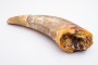 Zestaw gryzaków -  naturalne przysmaki dla dużego psa - TATAR DOG  (3).jpg