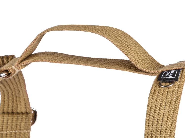Szelki dla dużego psa guard NATURAL PRO beżowe (2).jpg