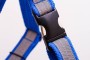 _MG_8457-Edit.jpg