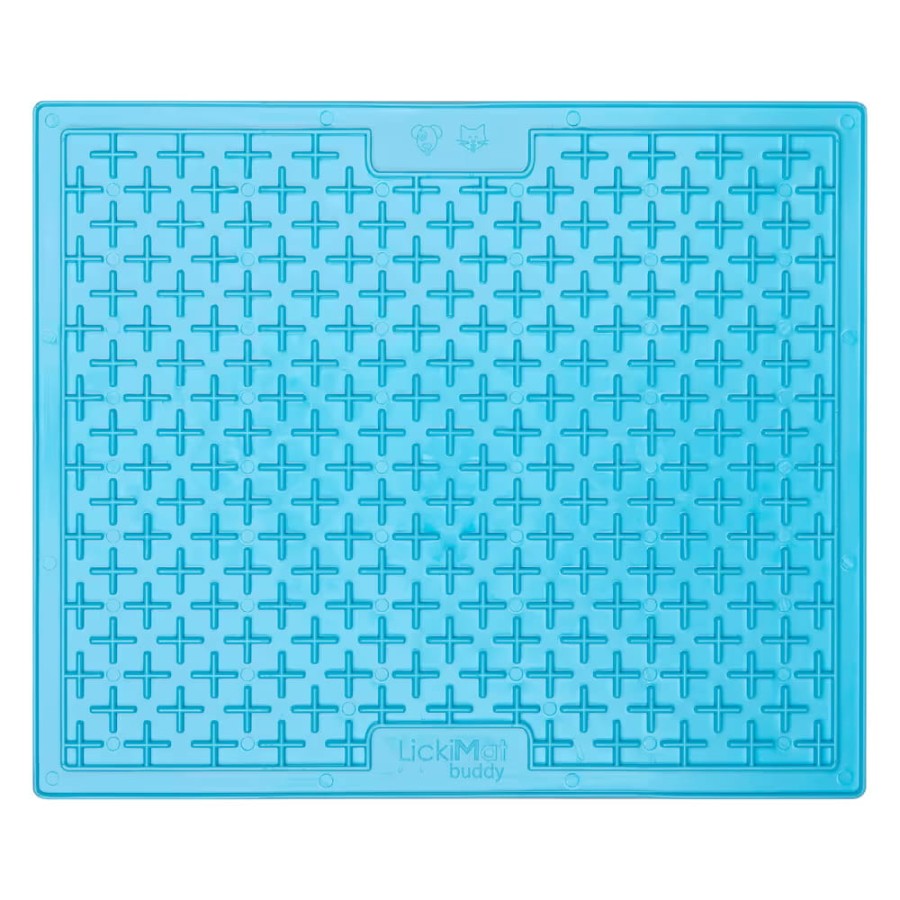 cdce055ea1f74d5bff5666dc113f1db8