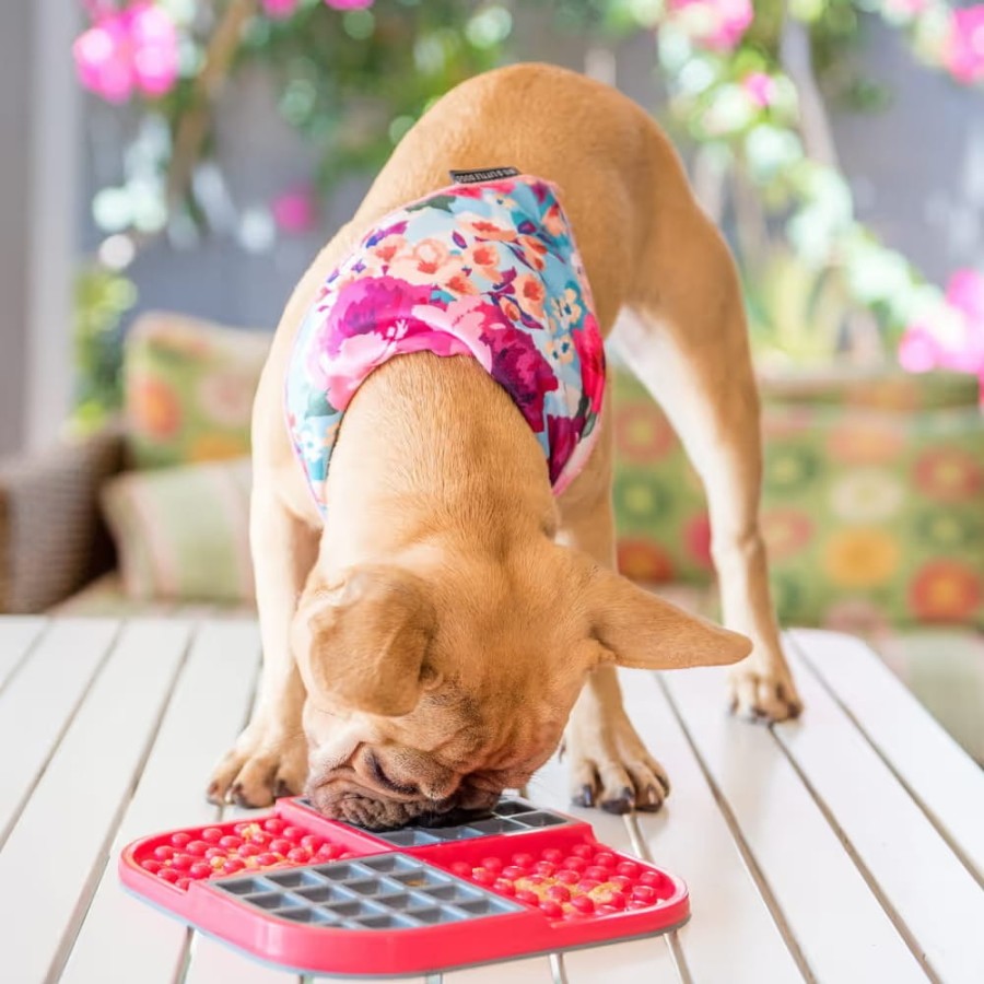 a2ecf61f4d94140aca23b108368561cc