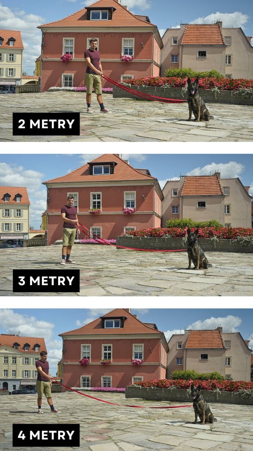 smycz pro przepinana dla dużego psa - tatar dog.jpg