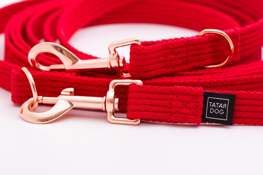 Smycz przepinana dla małego psa Natural czerwona - TATAR DOG (3).jpg