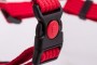 _MG_8611-Edit.jpg