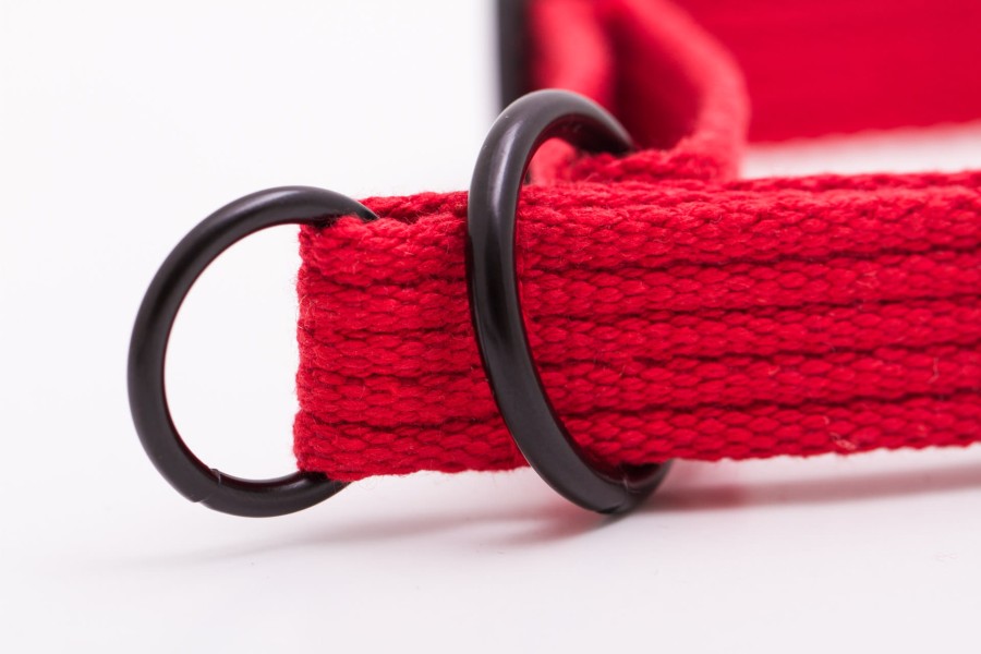 Obroża dla psa półzaciwskowa NATURAL czerwona - TATAR DOG (3).JPG