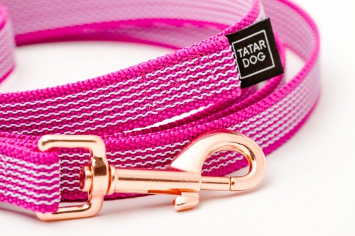 TATAR DOG - RÓŻ (2).jpg