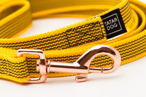 TATAR DOG - ŻÓŁTA (2).jpg