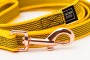 TATAR DOG - ŻÓŁTA (2).jpg