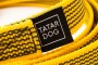 TATAR DOG - ŻÓŁTA (3).jpg
