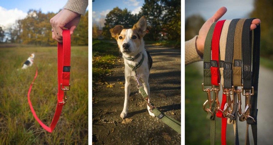 Smycz przepinana dla małego i średniego psa natural - TATAR DOG.jpg