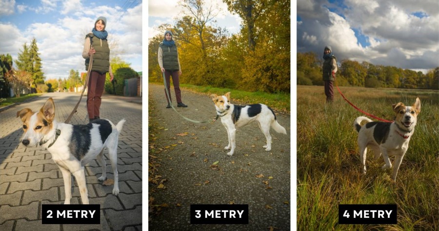 Smycz przepinana dla małego i średniego psa - TATAR DOG.jpg