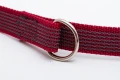 smycz-przepinana-dla-duzego-psa-PRO-fit-antyposlizgowa-burgund-2-4m (8).jpg