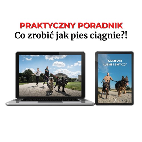 praktyczny-poradnik-co-zrobic-jak-pies-ciagnie-tatar-dog.jpg