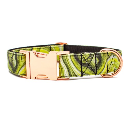 TATAR DOG - obroża z klamrą limonka (1).jpg