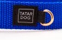 TATARDOG - obroża z klamrą BASIC niebieska (3).jpg