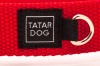 TATARDOG - obroża z klamrą BASIC czerwona (4).jpg
