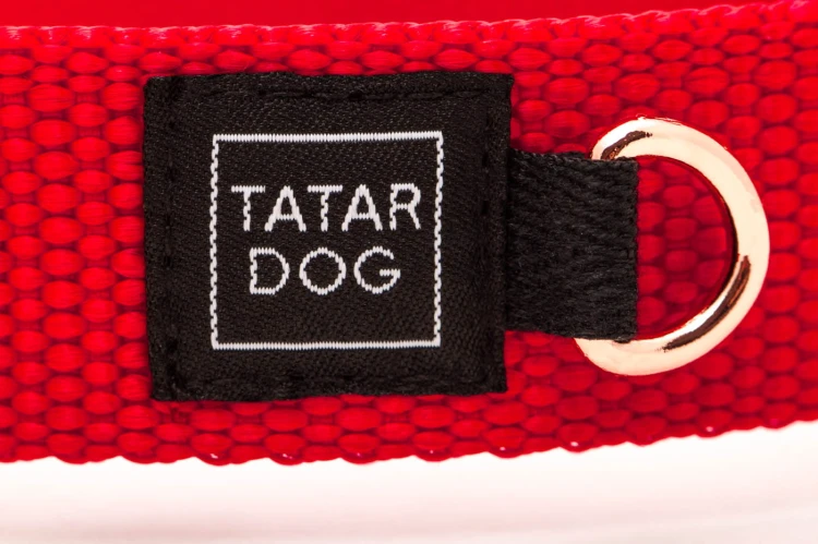 TATARDOG - obroża z klamrą BASIC czerwona (4).jpg