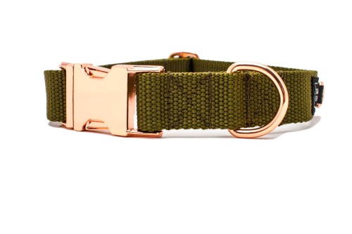 TATARDOG - obroża z klamrą BASIC khaki (1).jpg
