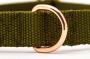 TATARDOG - obroża z klamrą BASIC khaki (3).jpg