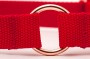TATARDOG - obroża półzaciskowa BASIC czerwona (2).jpg