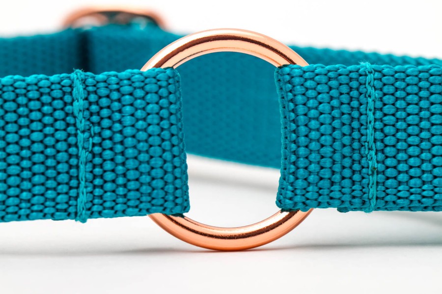 TATARDOG - obroża półzaciskowa BASIC turkusowa (2).jpg