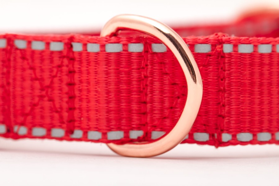 TATAR DOG - obroża odblaskowa z klamrą czerwona (3).jpg