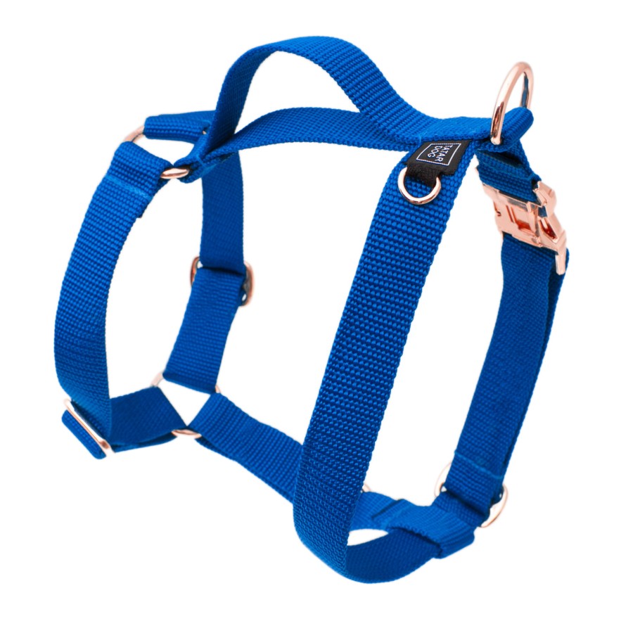 TATAR DOG - szelki guard dla psa basic NIEBIESKIE (1).jpg