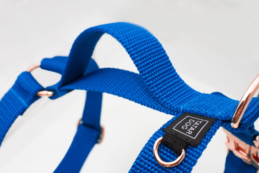 TATAR DOG - szelki guard dla psa basic NIEBIESKIE (2).jpg