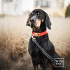 obroża z klamrą dla psa - TATAR DOG (3).jpg