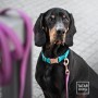 obroża z klamrą dla psa - TATAR DOG (2).jpg