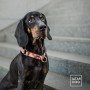obroża półzaciskowa dla psa - TATAR DOG  (2).jpg