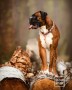 obroża półzaciskowa dla psa - TATAR DOG  (3).jpg