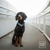 obroża półzaciskowa dla psa - TATAR DOG  (2).jpg