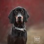 obroża półzaciskowa dla psa - TATAR DOG  (3).jpg