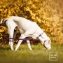 ANTYPOŚLIZGOWA SMYCZ DLA PSA - TATAR DOG (1).jpg