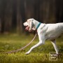 ANTYPOŚLIZGOWA SMYCZ DLA PSA - TATAR DOG (1).jpg