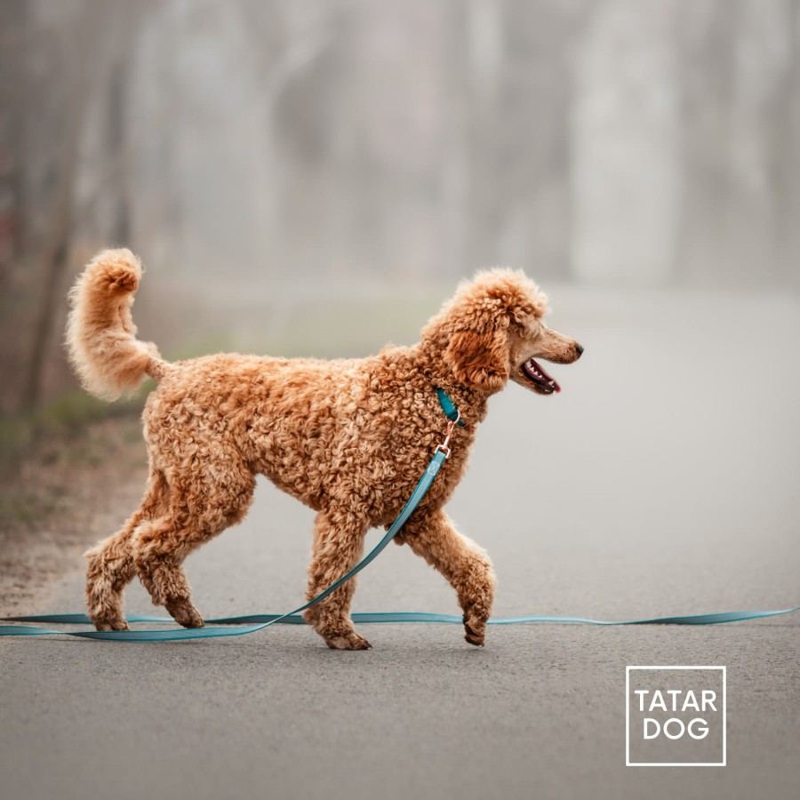 ANTYPOŚLIZGOWA SMYCZ DLA PSA - TATAR DOG (2).jpg