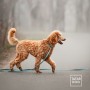 ANTYPOŚLIZGOWA SMYCZ DLA PSA - TATAR DOG (2).jpg