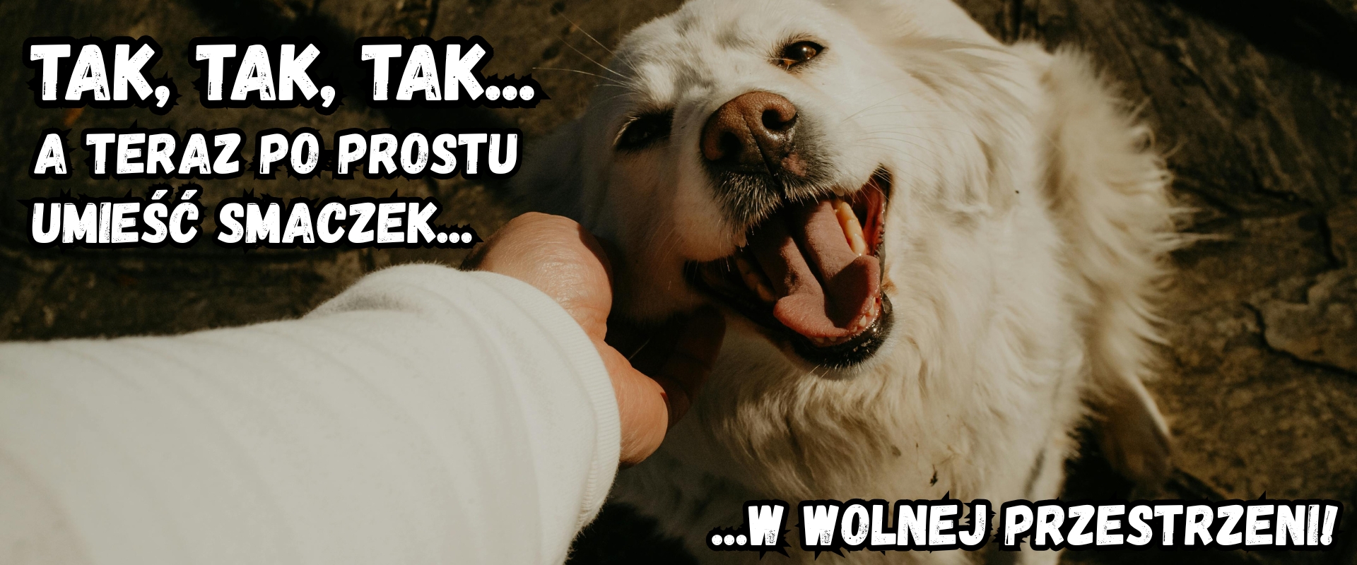 Przysmaki dla psów 100% naturalne