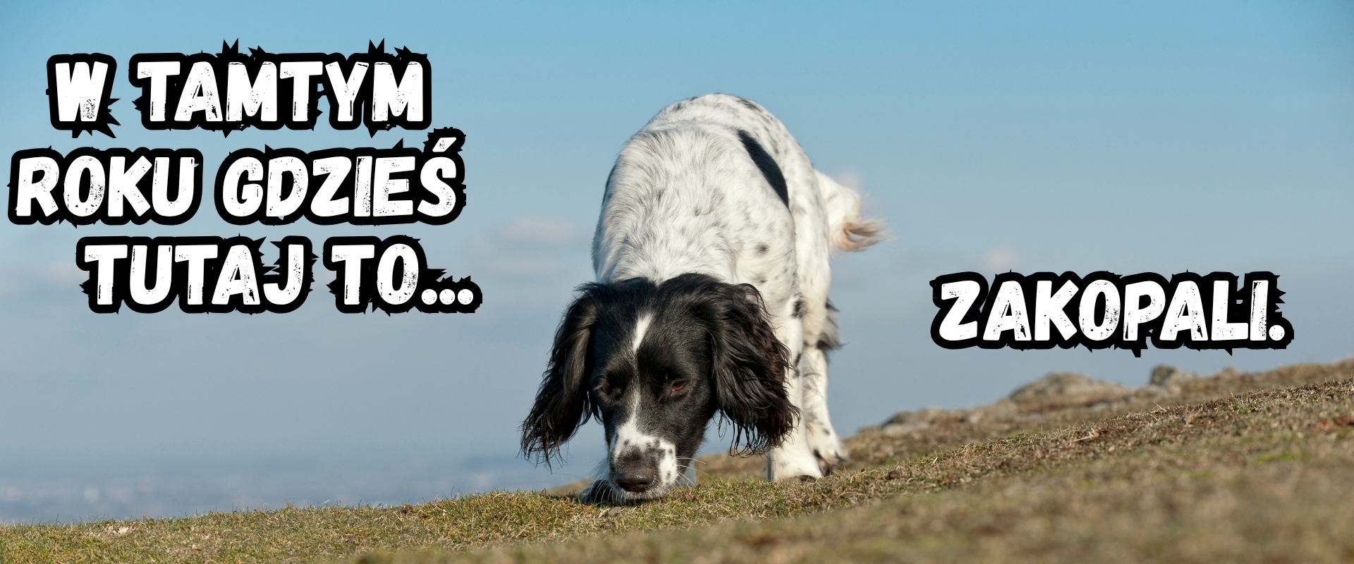 Prezenty dla psów na Wielkanoc 2026